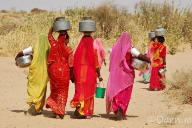 Rajasthani Women