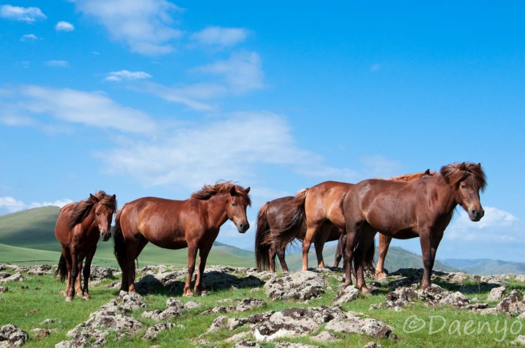 Mongolia