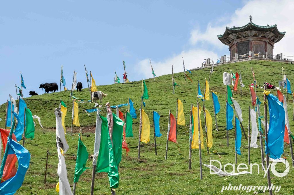 Tibet