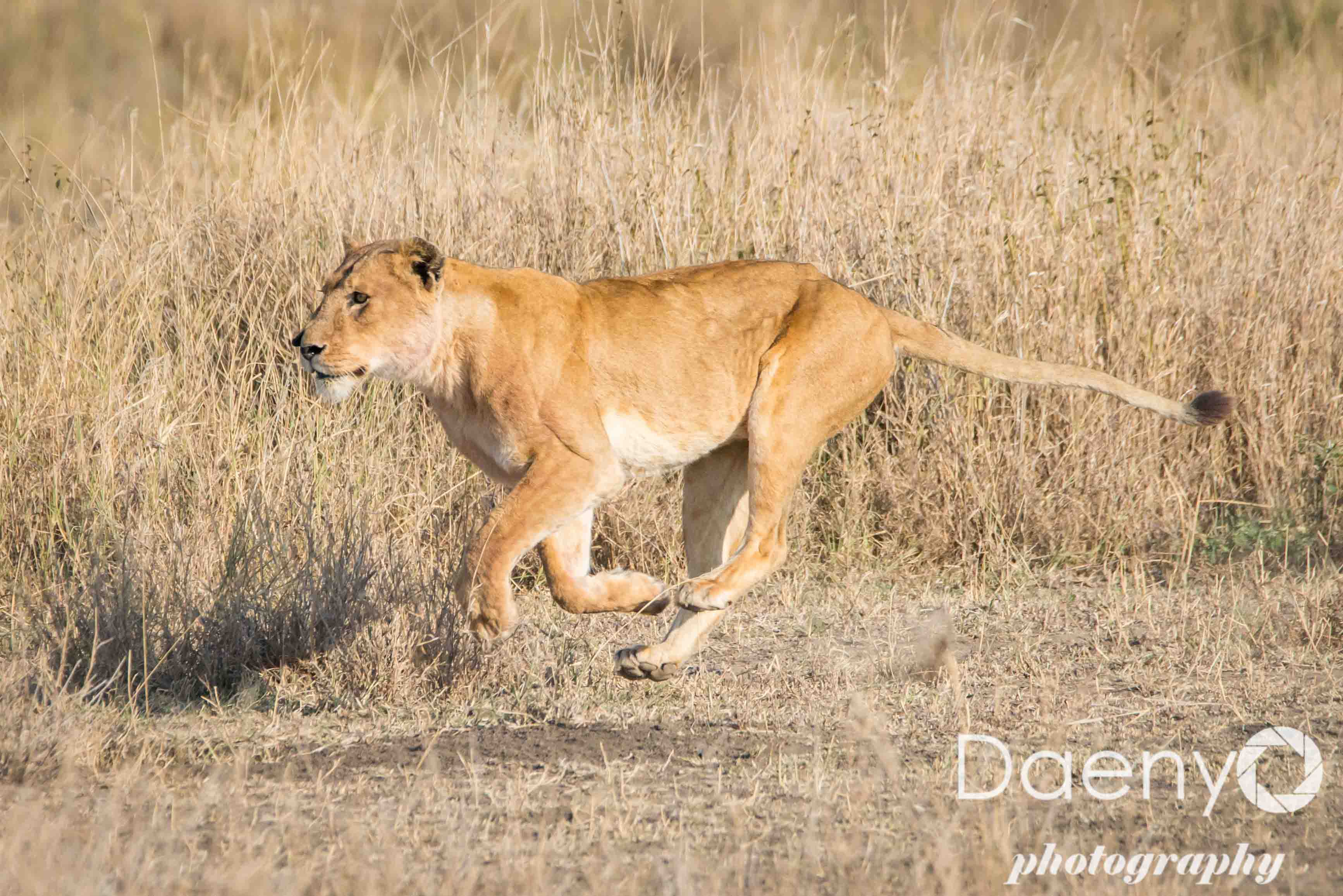 Tanzania Favs-9