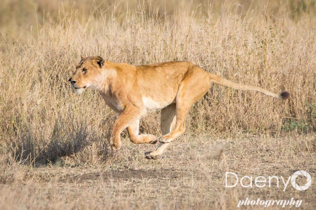 Tanzania